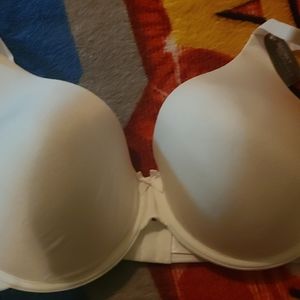 40-D Bra